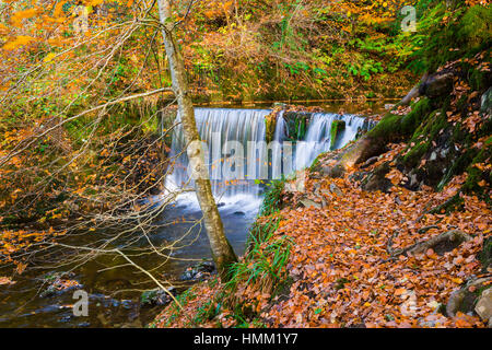 Weir su stock Ghyll a Ambleside nel Parco Nazionale del Distretto dei Laghi, Cumbria, Inghilterra. Foto Stock