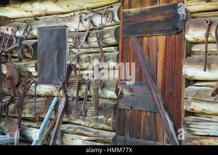 L'edificio di stoccaggio/Camera di adesività, Riddle Fratelli Ranch Distretto Storico Nazionale, Donner und Blitzen selvatica e Scenic River, Steens cooperativa di montagna ma Foto Stock