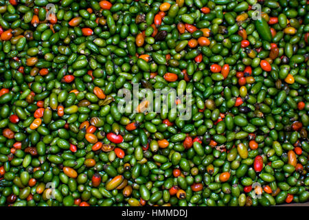 Peperoni rossi e verdi su un mercato Foto Stock