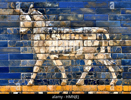 Smalto satinato brick bull dalla porta di Ishtar di Babilonia 575 a.e.v. del re Nabucodonosor II. Iraq Mesopotamia 2300 BC -141 BC Pergamon Museum di Berlino Foto Stock