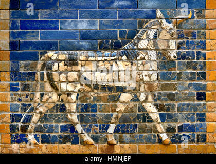 Smalto satinato brick bull dalla porta di Ishtar di Babilonia 575 a.e.v. del re Nabucodonosor II. Iraq Mesopotamia 2300 BC -141 BC Pergamon Museum di Berlino Foto Stock