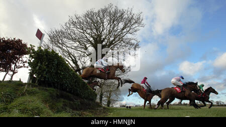 Una vista generale del P.P. Hogan Memorial Cross Country siepi durante BoyleSports legato Cottage Chase giorno a Punchestown Racecourse, Naas, nella contea di Kildare. Foto Stock