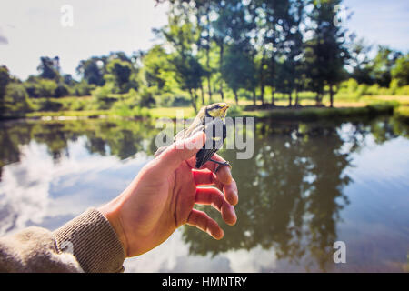 La natura della libertà di amore Foto Stock