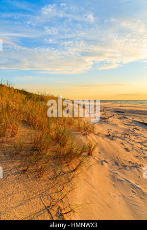 Erba sulle dune di sabbia e il tramonto sulla spiaggia di Leba, Mar Baltico, Polonia Foto Stock