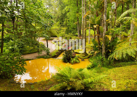 Bella Terra Nostra park con getti di acqua e la diversità della flora. Il vecchio giardino europeo sull arcipelago delle Azzorre, Portogallo. Foto Stock