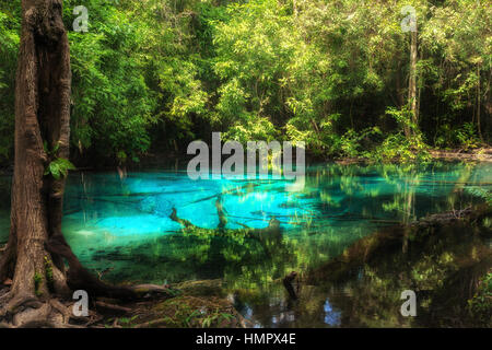 Piscina Blu di smeraldo piscina piscina invisibili nella foresta di mangrovie a Krabi in Thailandia. Foto Stock