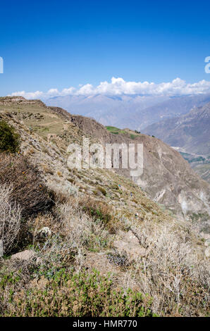 Valle del Colca. Arequipa, Perù. Foto Stock