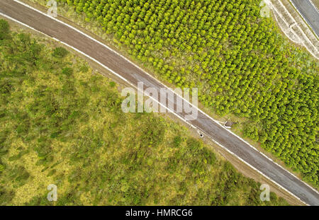 Uno scatto aereo in testa mostra una strada stretta e non asfaltata che corre diagonalmente attraverso un paesaggio diviso tra una piantagione di olio di palma densa e ordinata e un'area di vegetazione mista più naturale. La strada lo è Foto Stock