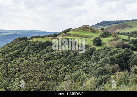 Castell hillfort Grogwynion, Ceredigion, Galles Foto Stock