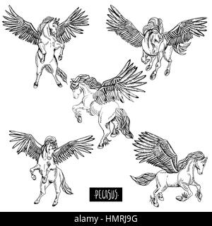 Vettore di vintage in bianco e nero serie di alato Pegaso, animali elementi di design, collezione di contorno Illustrazione Vettoriale
