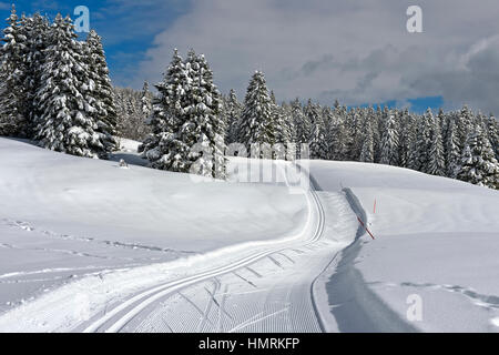 Sci di fondo corsa del Trans-Jura Swiss a lunga distanza sentiero sci, sci nordico centro Saint-Cergue, Vaud, Svizzera Foto Stock