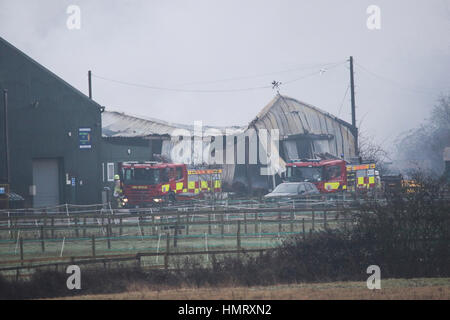 Cressing Essex REGNO UNITO. 5 febbraio 2017. I vigili del fuoco continuano a lavorare presso la scena di un fienile fuoco che inizia circa 1am. Credito: David Johnson/Alamy Live News Foto Stock