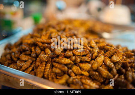 Worm e cavallette servito come cibo a Bangkok, in Thailandia. Foto Stock