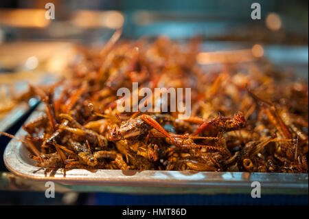 Worm e cavallette servito come cibo a Bangkok, in Thailandia. Foto Stock