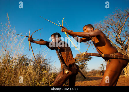 Ju/'Hoansi o Boscimani San hunter simula una battuta di caccia con arco e frecce al loro villaggio, Grashoek, Namíbia Foto Stock