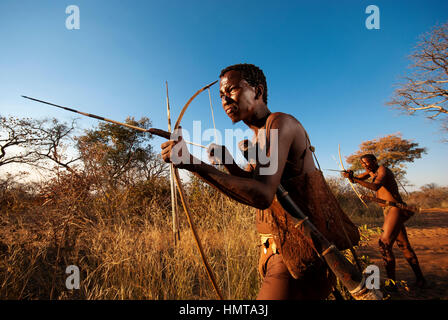 Ju/'Hoansi o Boscimani San hunter simula una battuta di caccia con arco e frecce al loro villaggio, Grashoek, Namíbia Foto Stock