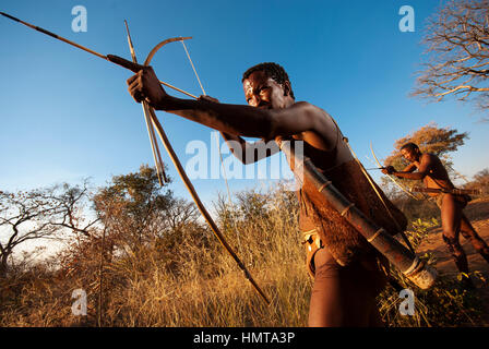 Ju/'Hoansi o Boscimani San hunter simula una battuta di caccia con arco e frecce al loro villaggio, Grashoek, Namíbia Foto Stock