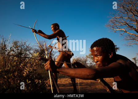 Ju/'Hoansi o Boscimani San hunter simula una battuta di caccia con arco e frecce al loro villaggio, Grashoek, Namíbia Foto Stock