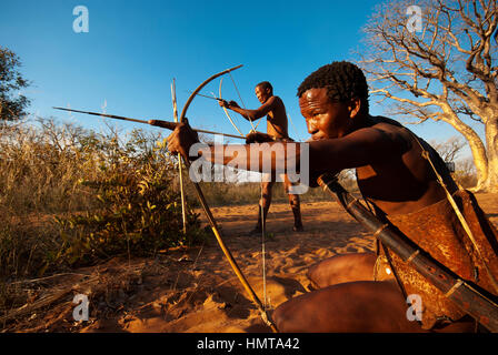 Ju/'Hoansi o Boscimani San hunter simula una battuta di caccia con arco e frecce al loro villaggio, Grashoek, Namíbia Foto Stock