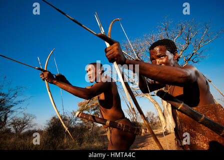 Ju/'Hoansi o Boscimani San hunter simula una battuta di caccia con arco e frecce al loro villaggio, Grashoek, Namíbia Foto Stock