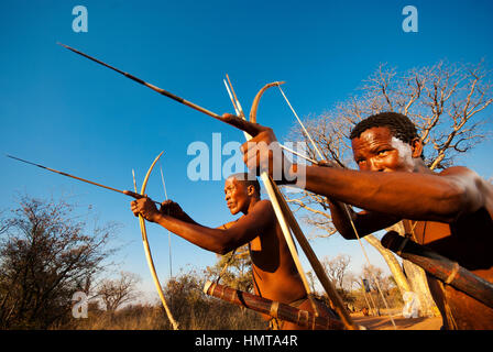 Ju/'Hoansi o Boscimani San hunter simula una battuta di caccia con arco e frecce al loro villaggio, Grashoek, Namíbia Foto Stock