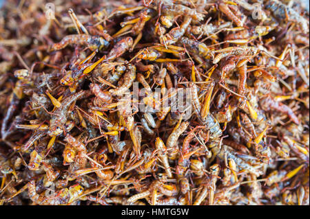 Worm e cavallette servito come cibo a Bangkok, in Thailandia. Foto Stock