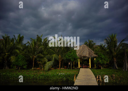 Sulle rive del Bến Tre fiume nel Delta del Mekong, Vietnam Foto Stock