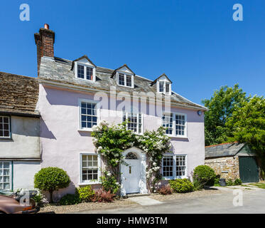 Rosa grazioso town house con rose bianche attorno al bianco dello sportello anteriore, Cerne Abbas, un villaggio nel Dorset, a sud-ovest dell'Inghilterra, in estate Foto Stock