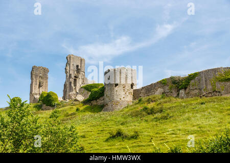 La collina delle rovine di mura e torri di Corfe Castle, superstite della Guerra Civile Inglese, in Corfe, Dorset, a sud-ovest dell'Inghilterra in una giornata di sole Foto Stock