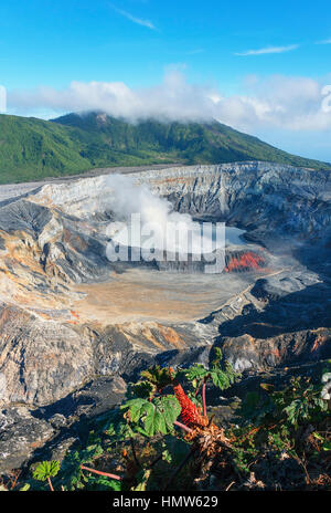 Caldera con il cratere del lago, vapore passando dal Vulcano Poas, parco nazionale del Vulcano Poas, Costa Rica Foto Stock