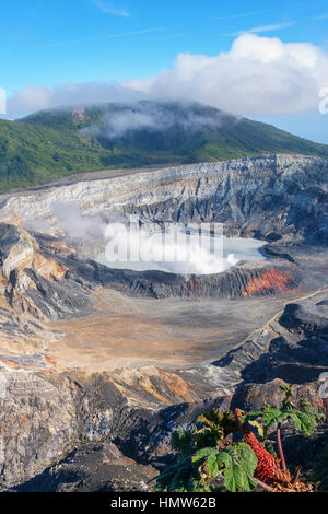 Caldera con il cratere del lago, vapore passando dal Vulcano Poas, parco nazionale del Vulcano Poas, Costa Rica Foto Stock