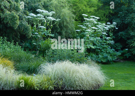 Letto di erbe in primavera, Jardins du pays d'Auge, Normandia, Francia Foto Stock