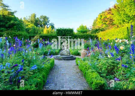 Giardini du pays d'Auge, (Normandia, Francia), 'Jardin de l'amour courtois' formata da quattro quadrati di buxus siepi, Delphinium, rose Foto Stock