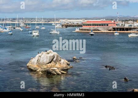 Barche nel porto di Monterey in California Foto Stock