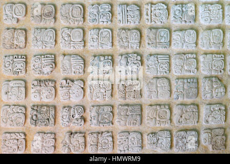 Antica città di Palenque si siede come un re su di un trono di giungla in cui le pianure soddisfano le montagne. Il quadro presenta antichi geroglifici maya Foto Stock