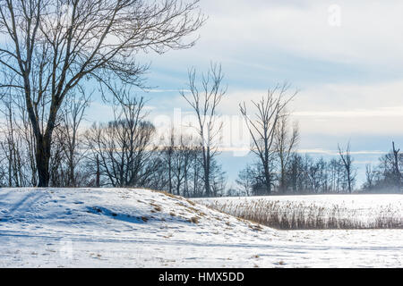 Inverno fiume Daube Baviera scena germania congelato Foto Stock