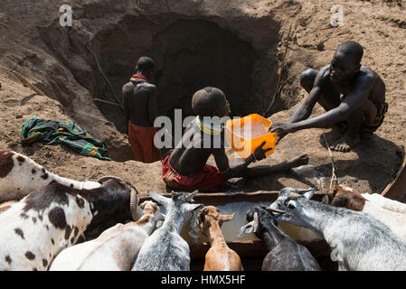 Etiopia, nazioni del sud, bassa valle dell'Omo, Kangaten, villaggio Kakuta, tribù Nyangatom, pastori dare acqua per i loro greggi di capre dai fori per l'acqua a secco fiume Kibish, la regione soffre da permanente della scarsità di acqua Foto Stock