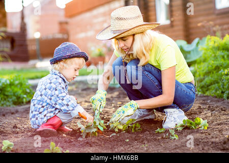 Il bambino e la madre di piantare piantine di fragola in suolo fertile al di fuori in giardino Foto Stock