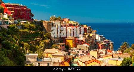 Vista aerea di Manarola, Cinque Terre Liguria, Italia Foto Stock