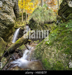 Piccola cascata fluisce attraverso una fiaba forest Foto Stock