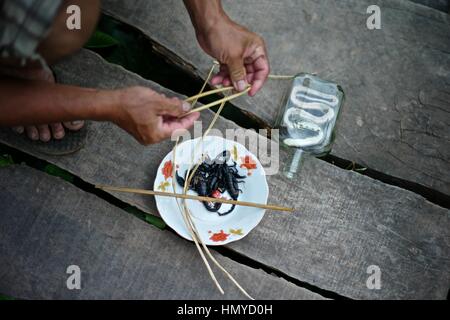 Un uomo si prepara Lao Lao whiskey nel villaggio di whisky, noto come Ban Xang Hai. Un villaggio Lao sul percorso a Pak Ou Grotte del Mekong. Serpenti, insetti e bug Foto Stock