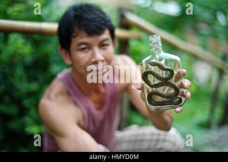 Un uomo si prepara Lao Lao whiskey nel villaggio di whisky, noto come Ban Xang Hai. Un villaggio Lao sul percorso a Pak Ou Grotte del Mekong. Serpenti, insetti e bug Foto Stock