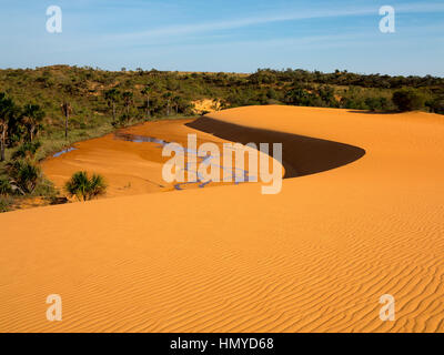 Le famose dune rosse a Jalapão National Park, stato di Tocantins. Questa è la più fotografata attrazione nel parco, una delle aree più selvagge in Braz Foto Stock