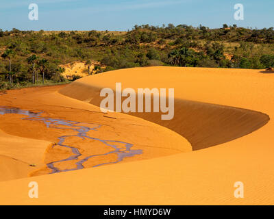 Le famose dune rosse a Jalapão National Park, stato di Tocantins. Questa è la più fotografata attrazione nel parco, una delle aree più selvagge in Braz Foto Stock