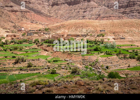 Atlante, nei pressi di Tizi N'Tichka Pass, Marocco. Villaggio e campi terrazzati, arido paesaggio. Foto Stock