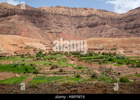 Atlante, nei pressi di Tizi N'Tichka Pass, Marocco. Villaggio e campi terrazzati, arido paesaggio. Foto Stock