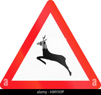 Segnale di avviso utilizzati in Svizzera - animali selvatici. Foto Stock