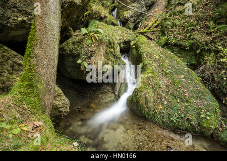 Piccola cascata fluisce attraverso una fiaba forest Foto Stock