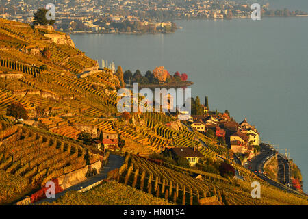 Vigneti in autunno, la vista del lago di Ginevra e la vitivinicoltura Saint-Saphorin villaggio, Lavaux, Canton Vaud, Svizzera Foto Stock