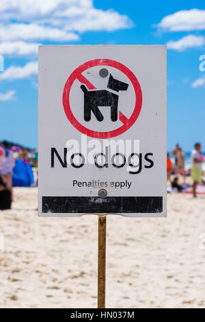 Nessun segno di cani sulla spiaggia Foto Stock